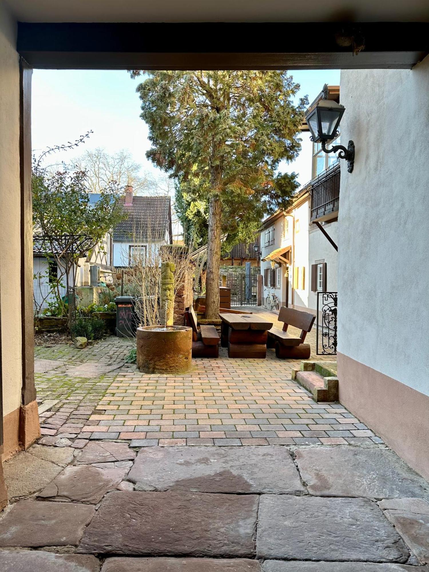 Exklusives Haus, Ruhig Gelegen Im Innenhof, Zentral, Lichtdurchflutet, Καρλσρούη Εξωτερικό φωτογραφία